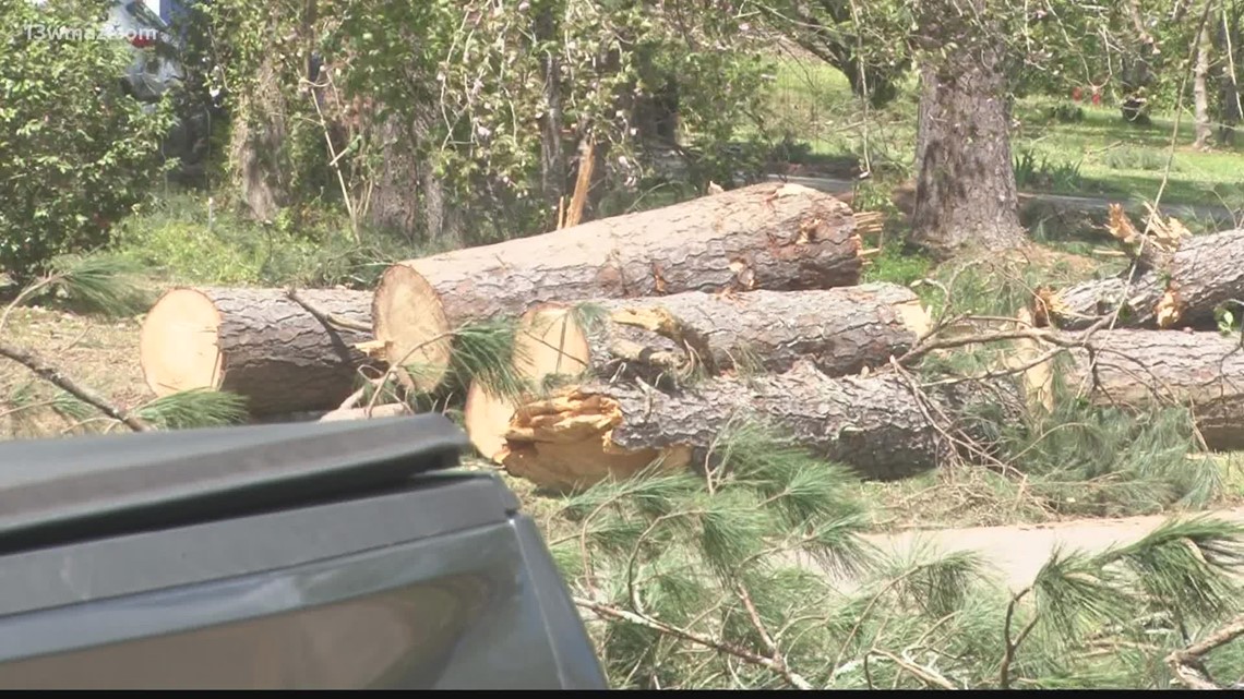 Central Georgia crews offer tips on how to remove storm debris - Vimarsana News