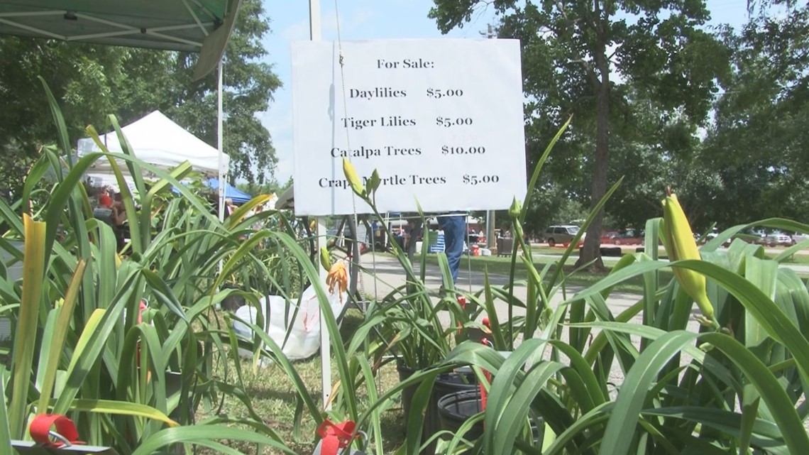 Gray celebrates daylily with annual festival