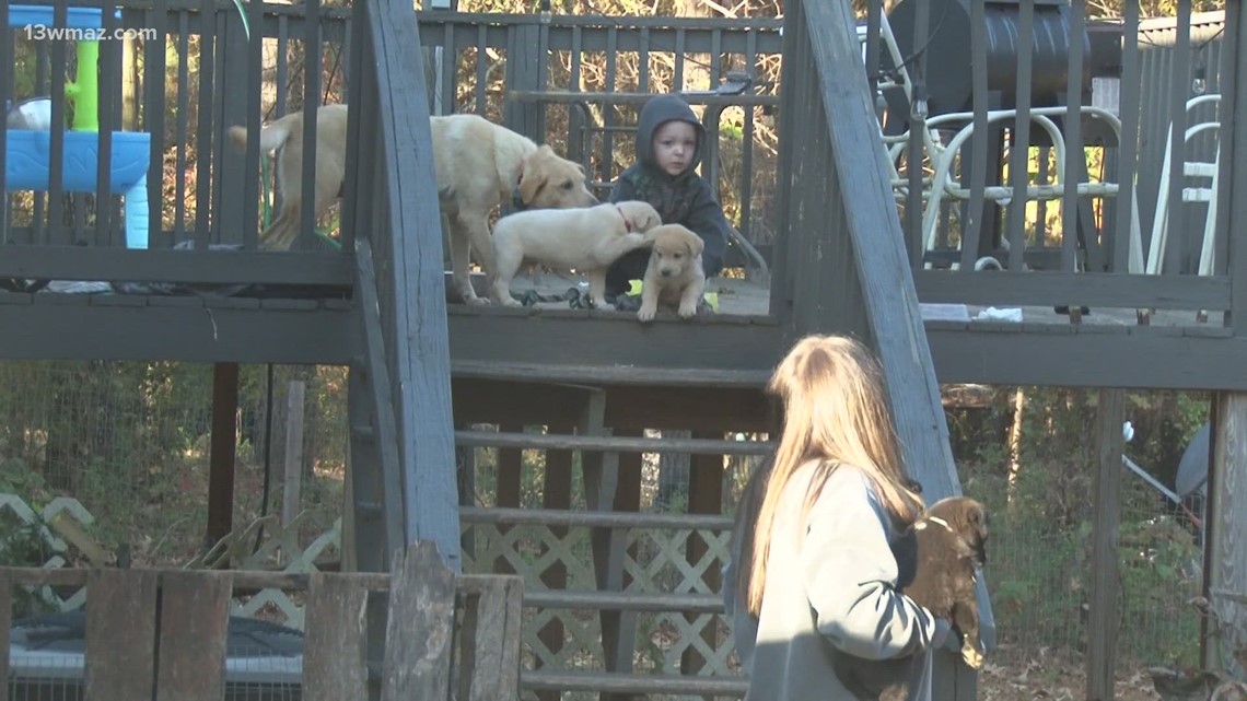 Family welcomes home beloved dog after a year of it missing - Vimarsana News