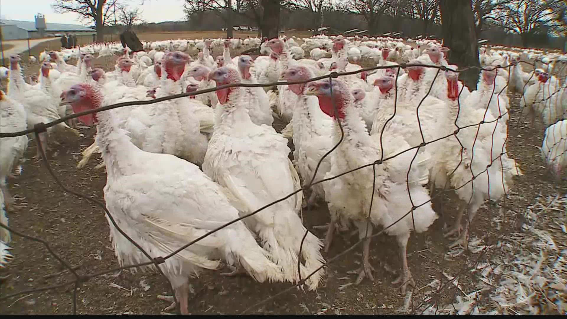 Right now, the Department of Agriculture says there is an unusually high threat for avian flu.