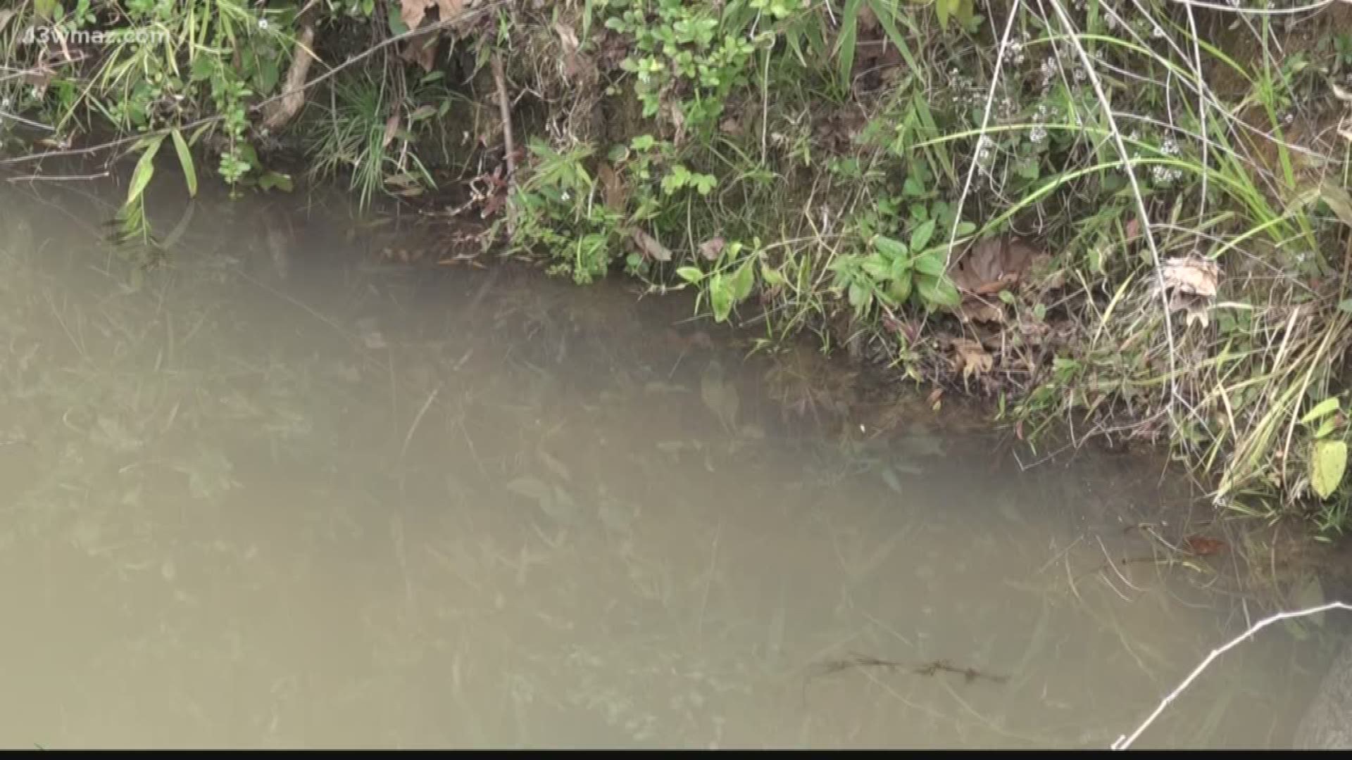 Last week, a fire at the Zschimmer & Schwarz plant released chemicals into Fishing Creek.