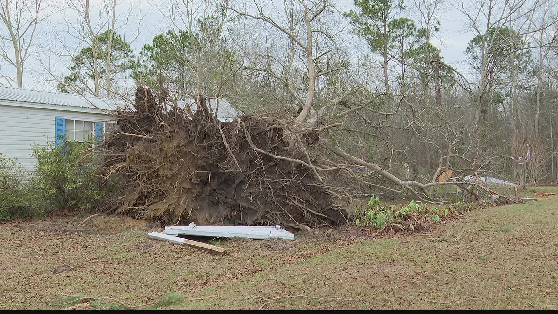 The National Weather Service has not yet decided whether Sunday night's Wilcox County storm was a tornado.