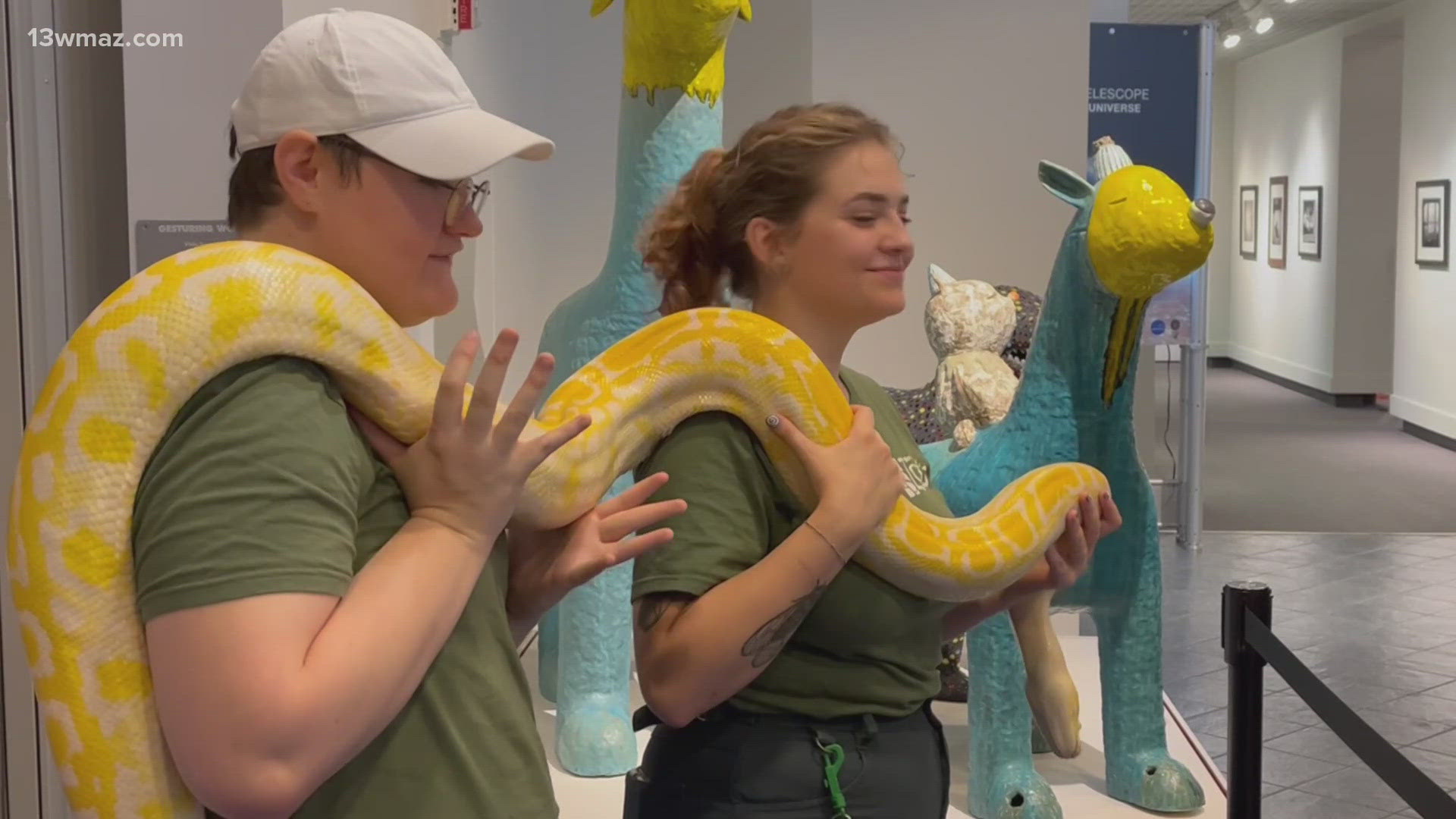 The Museum of Arts and Sciences had various different activities and live reptiles on display for attendees to enjoy