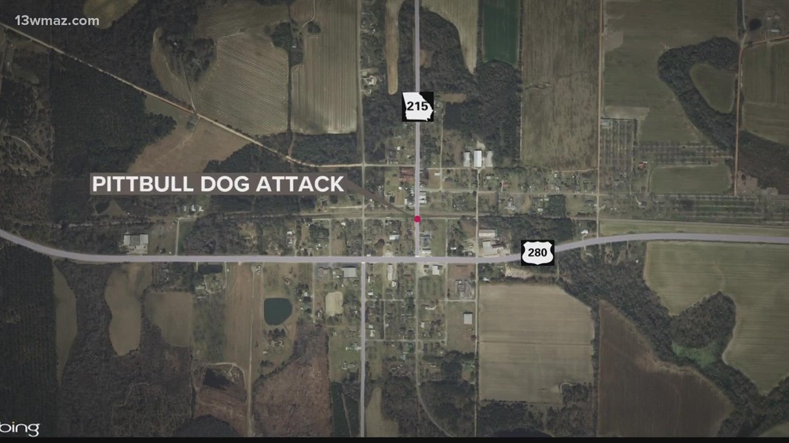 Wilcox County woman dies in attack by dog on her property