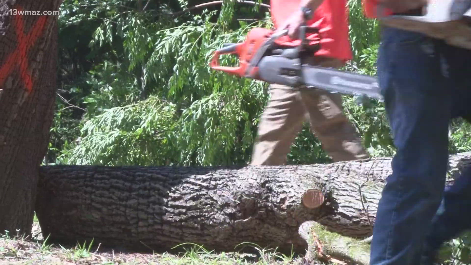 Ronda Price said she's still trying to make sense of how one storm caused so much damage near her home