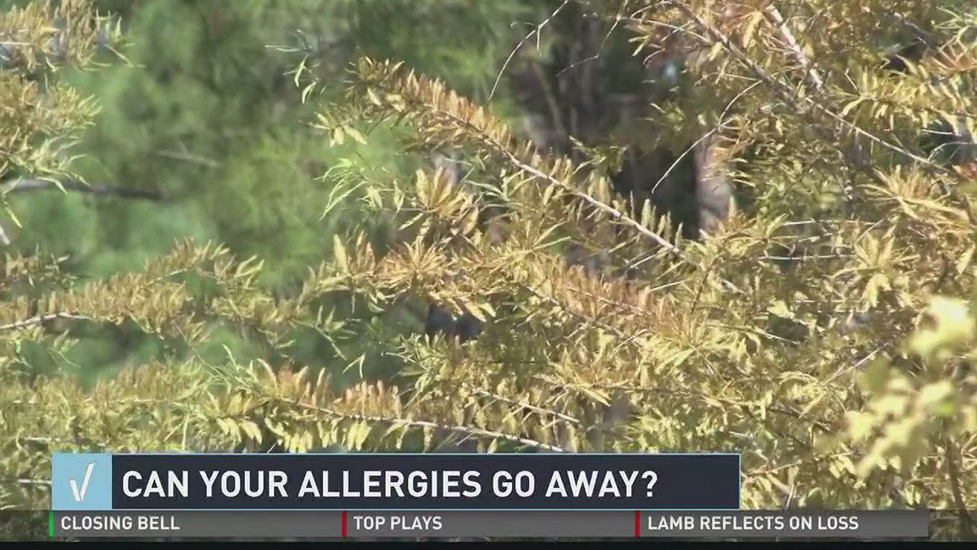 VERIFY: Can your allergies go away?