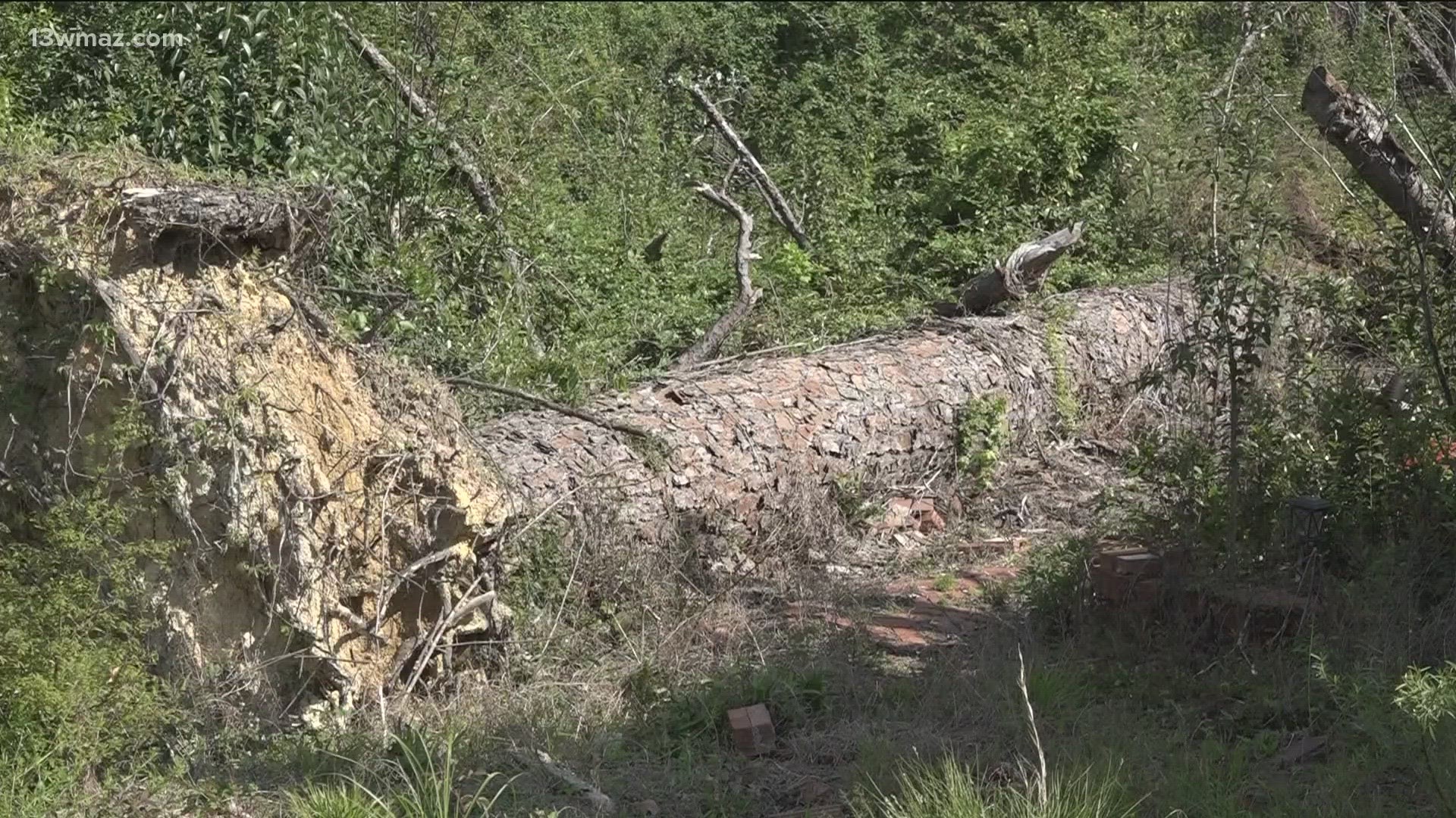 Last year, 18 tornadoes swept through central Georgia. An EF-1 touched down in Macon.