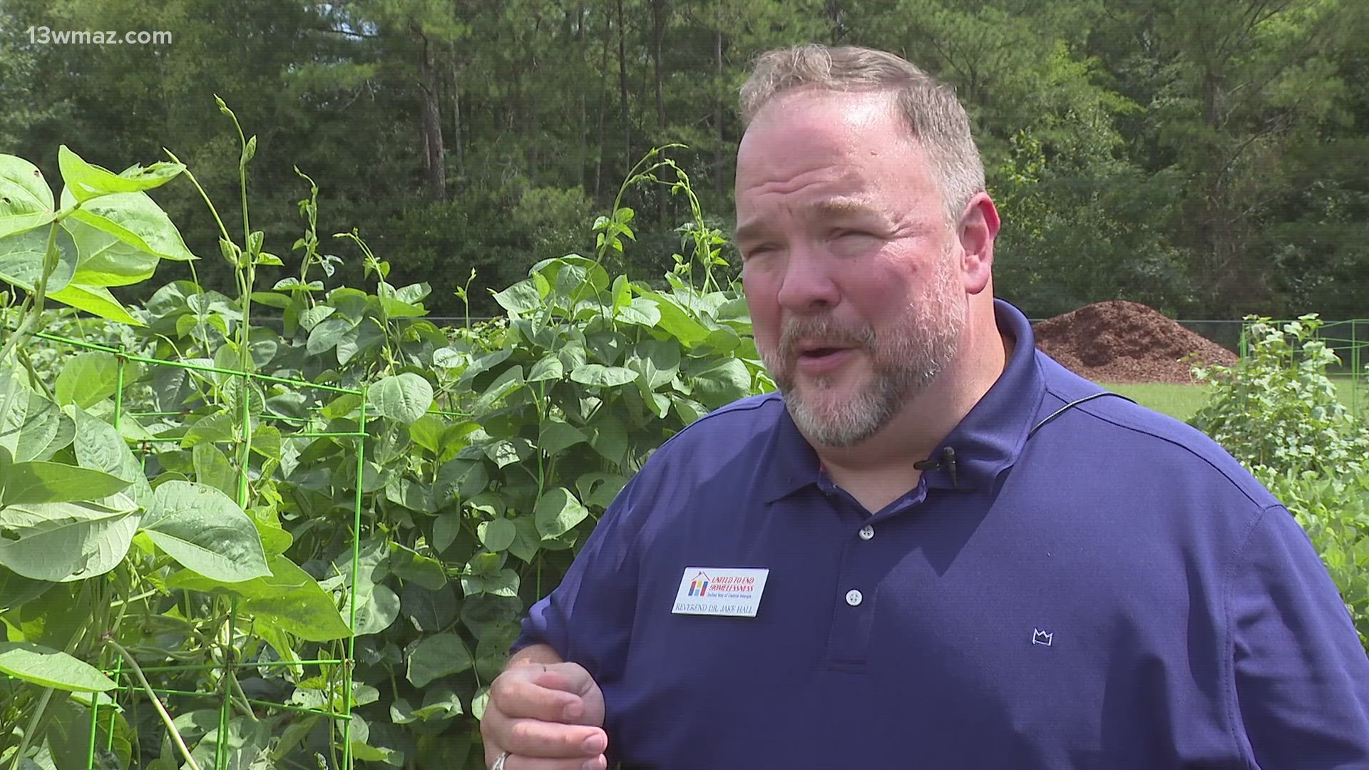 The garden’s summer harvest led to a crop of green beans, squash, cucumbers and watermelon.