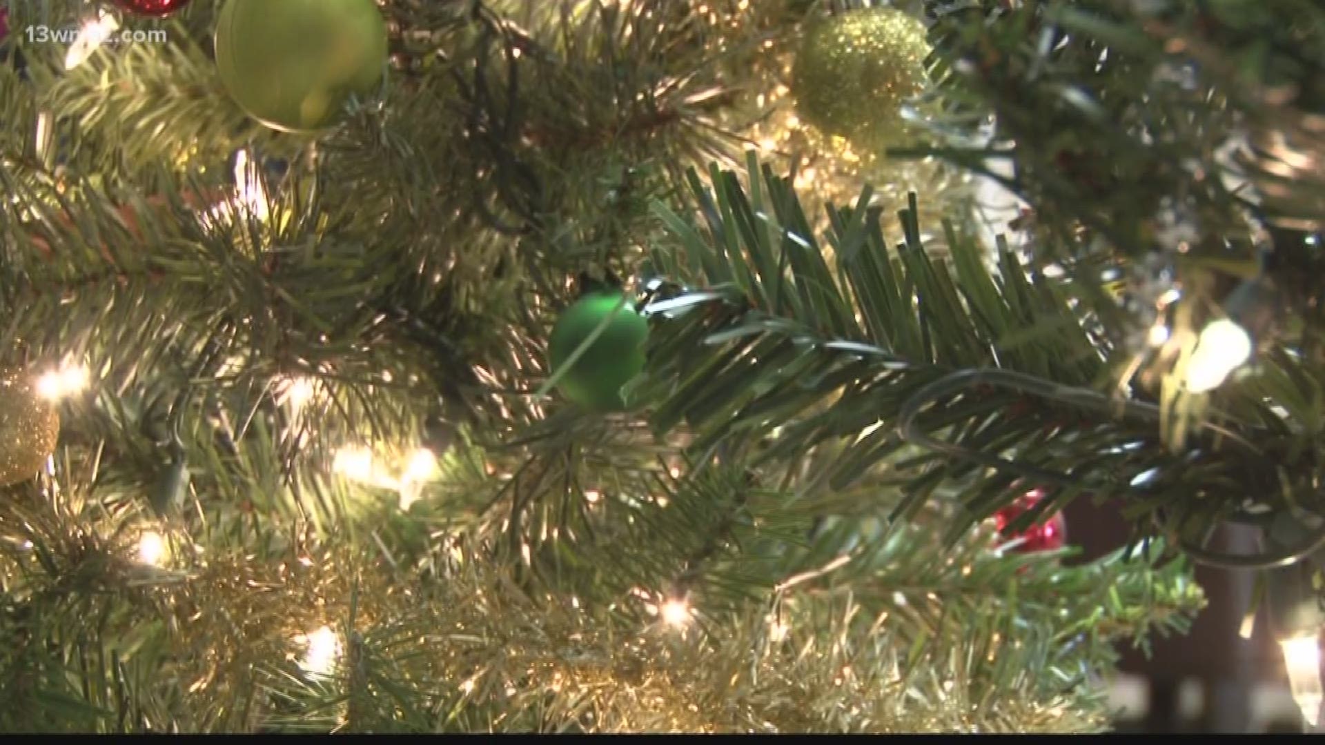 Students collect new or used Christmas trees
