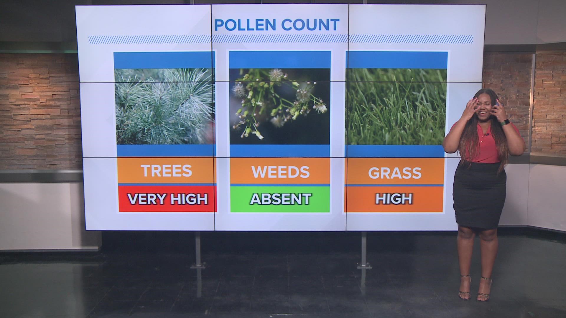 Meteorologist Taylor Stephenson has a look at your pollen index and when it's best to wash the yellow mess off of your car.