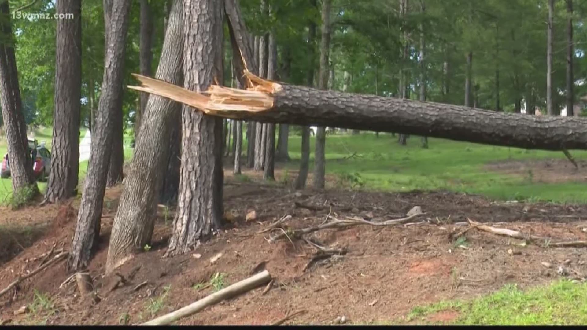 People in Monroe, Jones, and Bibb County saw trees and power lines down after strong storms rolled through Central Georgia, but the biggest hit was in a Macon man's backyard.