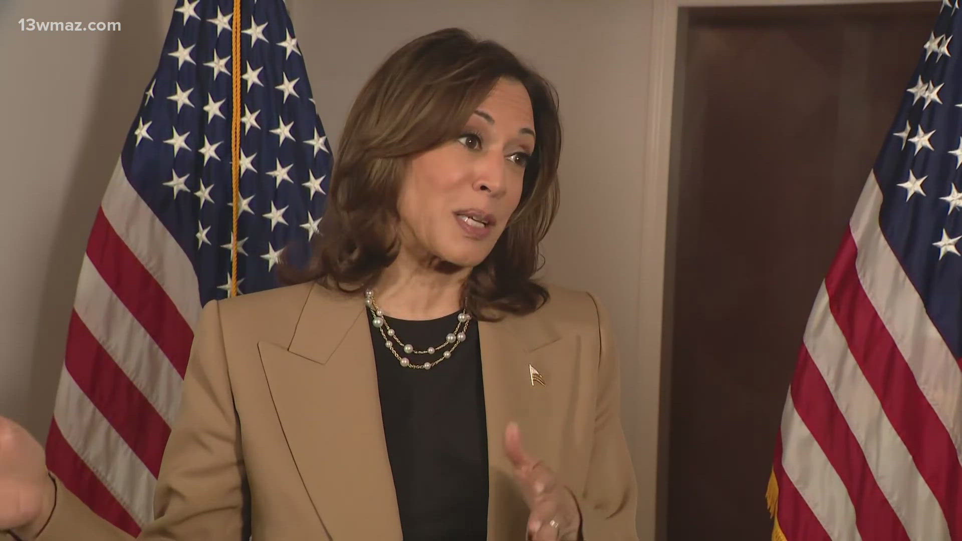 Multiple celebrities are joining Vice President Kamala Harris for a concert and rally to encourage Georgians to vote.