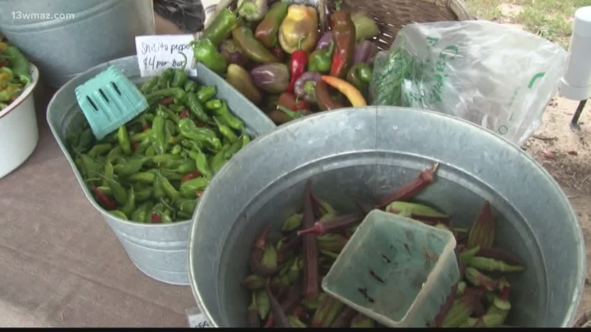 NewTown Macon bringing farmers market to downtown