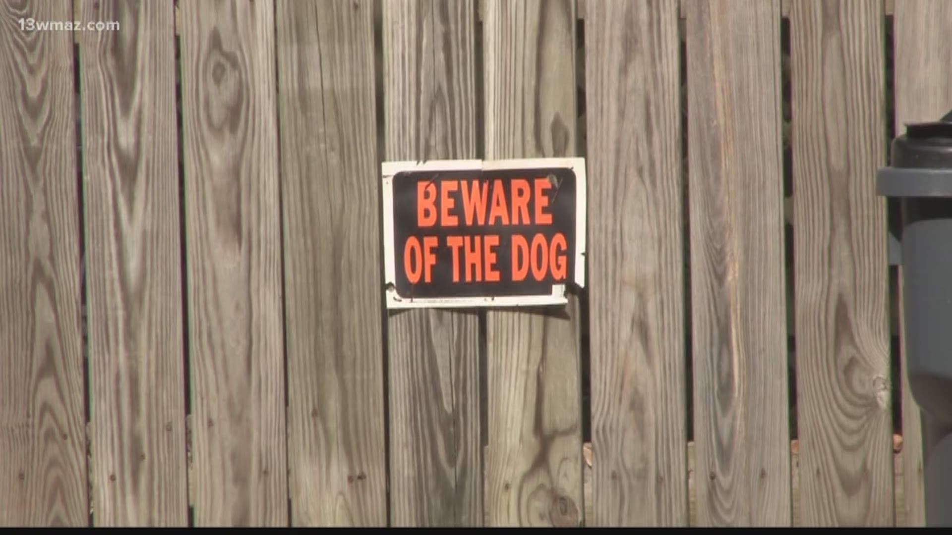 Pulaski woman attacked by pit bulls