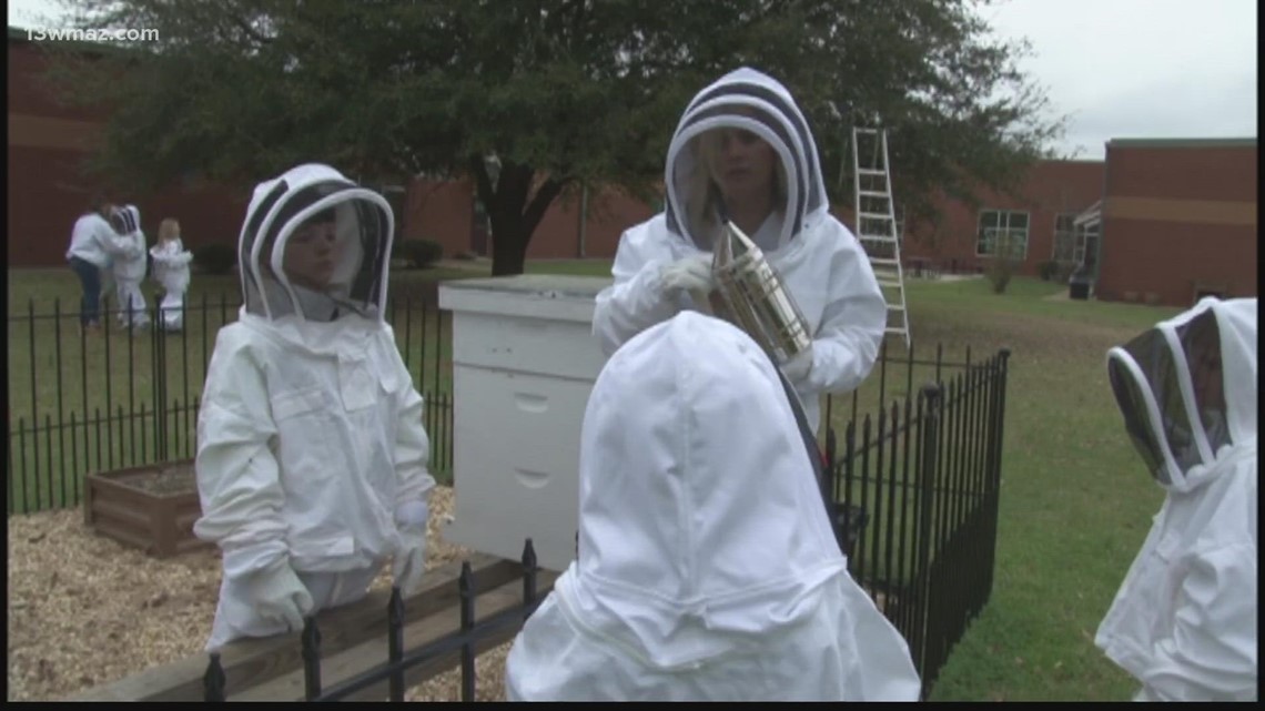 Dames Ferry Elementary School has created quite the buzz - Vimarsana News
