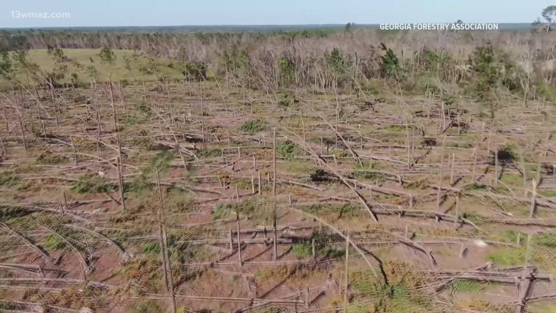 Governor Brian Kemp announced a $100 million disaster relief measure to provide financial assistance to the agribusiness sector, supporting clean-up efforts.