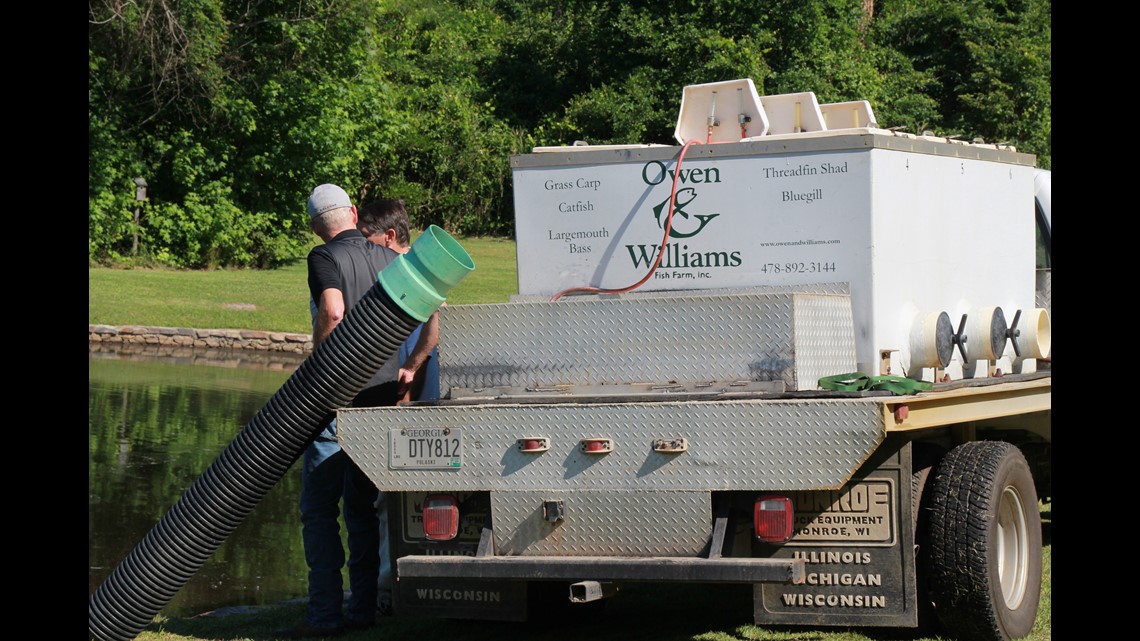A look at the unique process of stocking a fish hatchery