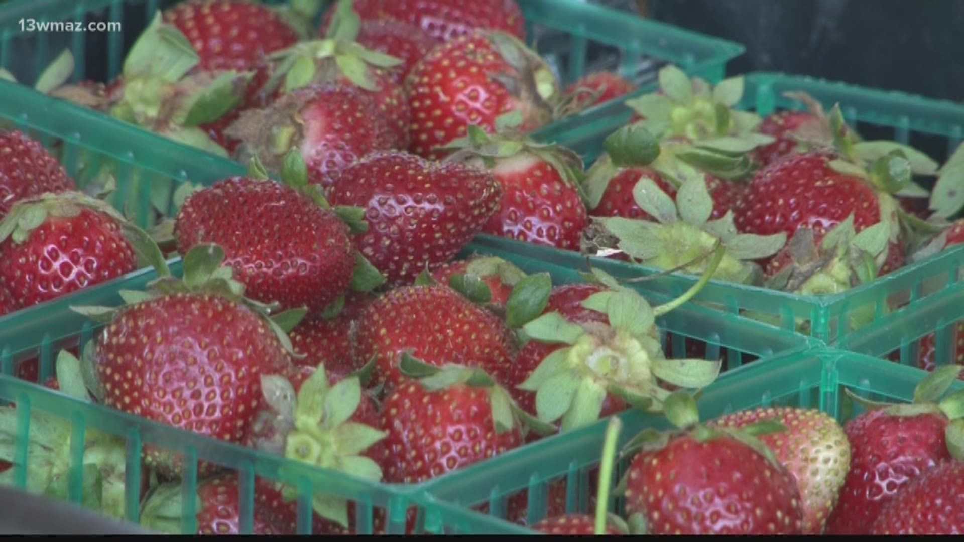 A Twiggs County farmer wants to help get fresh produce to some people who may not be able to afford it. Farmer Julia Asherman says her goal is to give everyone access to fresh fruits and veggies. People who use food stamps like EBT can now catch a deal on her produce.