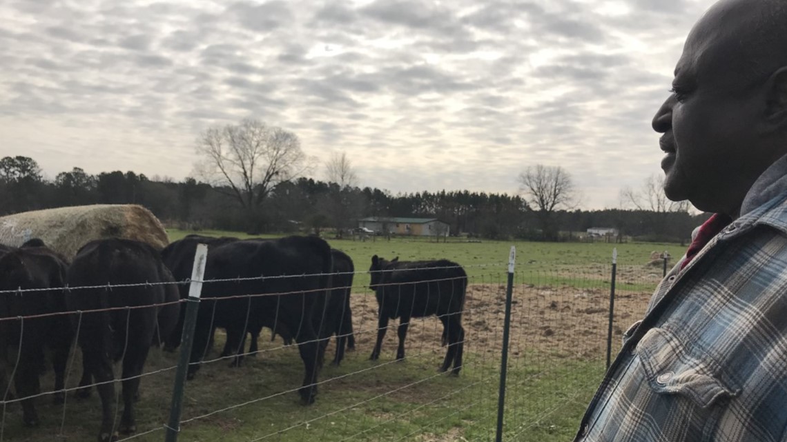 Young farmers key in Central Georgia Black farmer growth - Vimarsana News