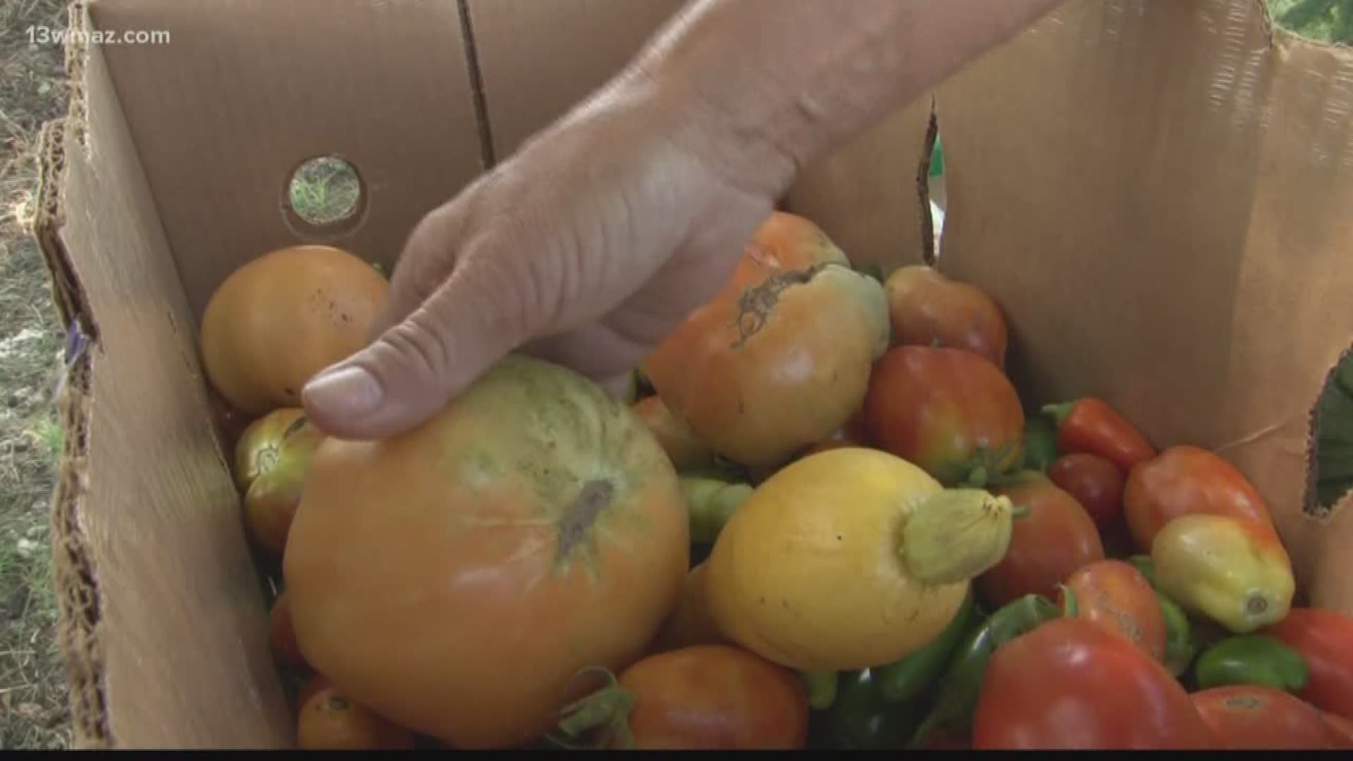 Woman grows food to give to others in need