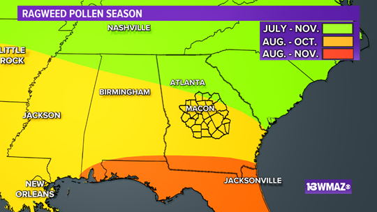 Ragweed pollen causes fall allergies to flare up | 13wmaz.com