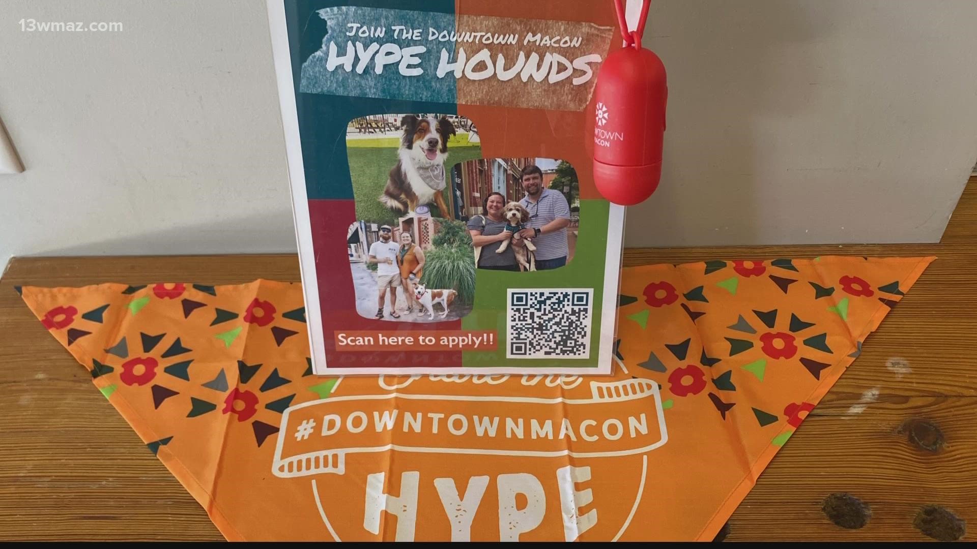 NewTown Macon has a new initiative called 'Hype Hounds,' where dog members and their owners promote downtown's pet-friendly events