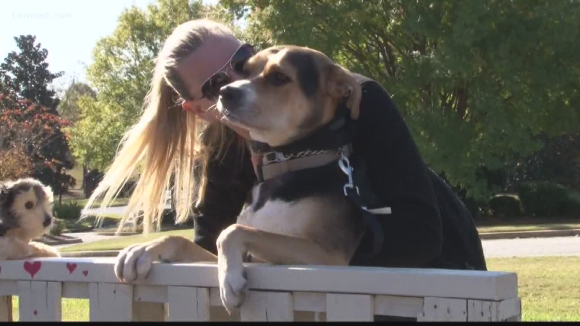 Coldwell Bank in Macon held their first 'Homes for Dogs' adoption event Saturday morning. It helped the community get to know local foster organizations.