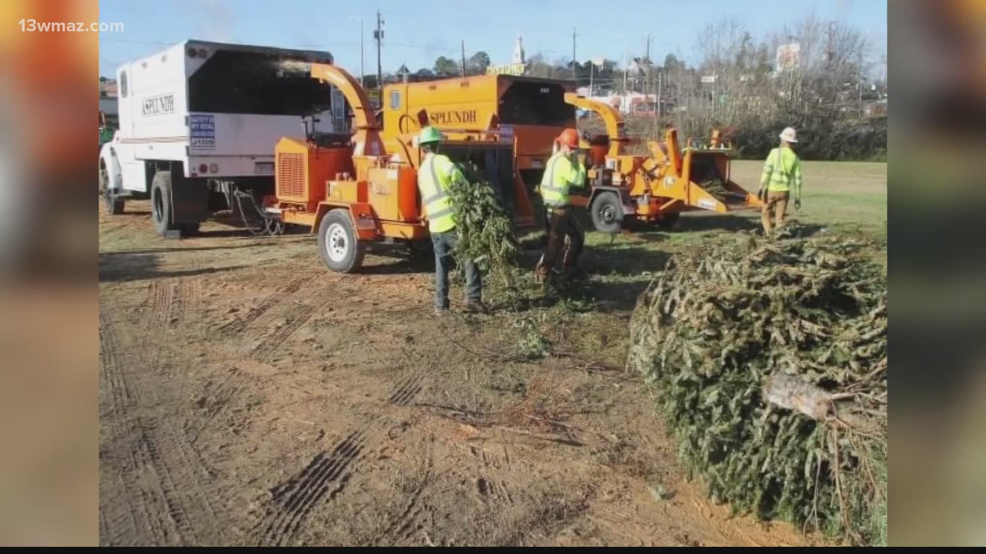 Macon group will dispose of your Christmas tree at annual 'Bring One for the Chipper' event