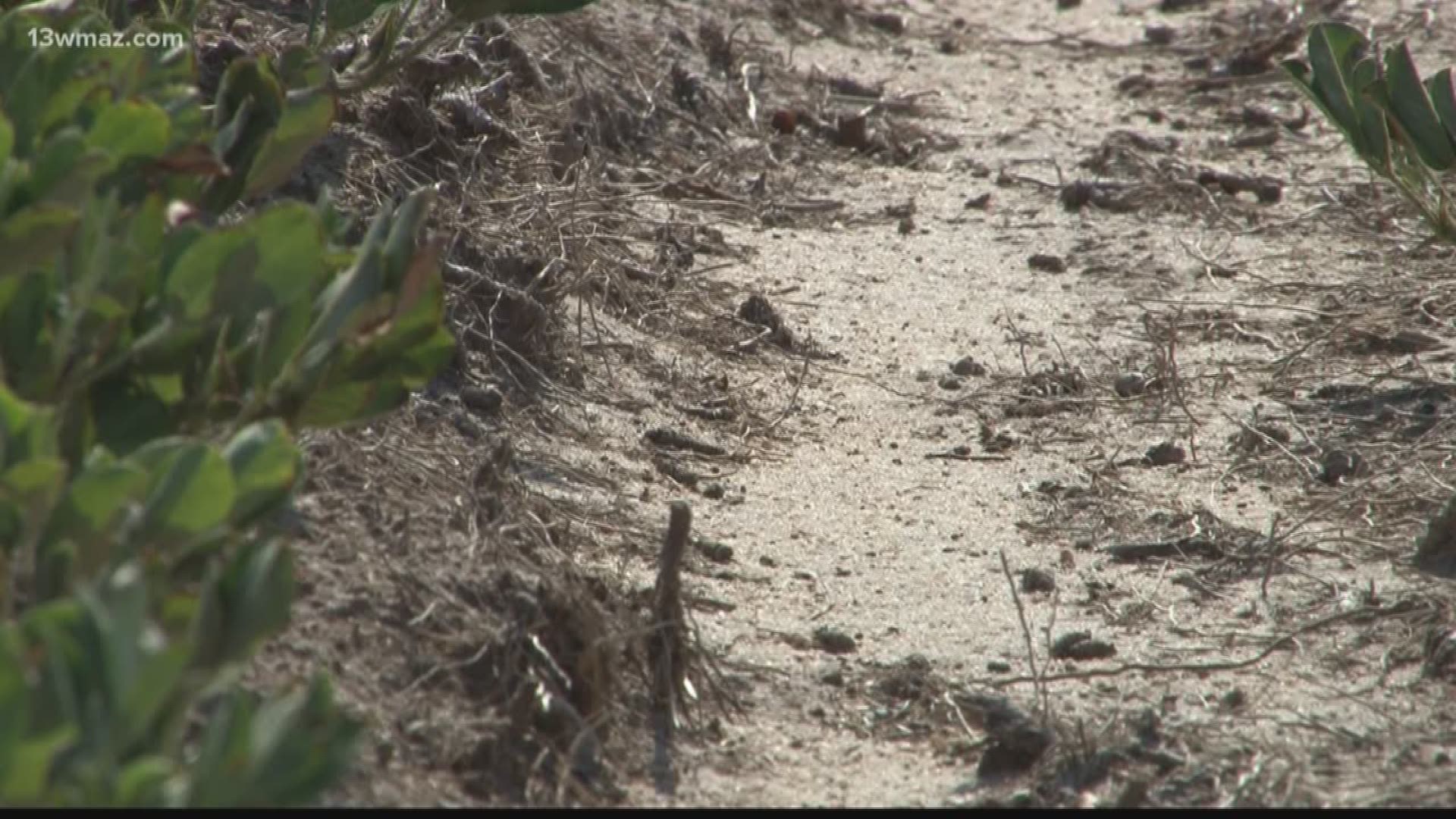 Wilkinson County is one of the areas in extreme drought in Central Georgia. That makes it hard for farmers trying to turn a profit this year.