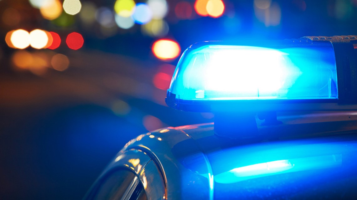 GA man charged for shooting at car, tried to run over officers - Vimarsana News