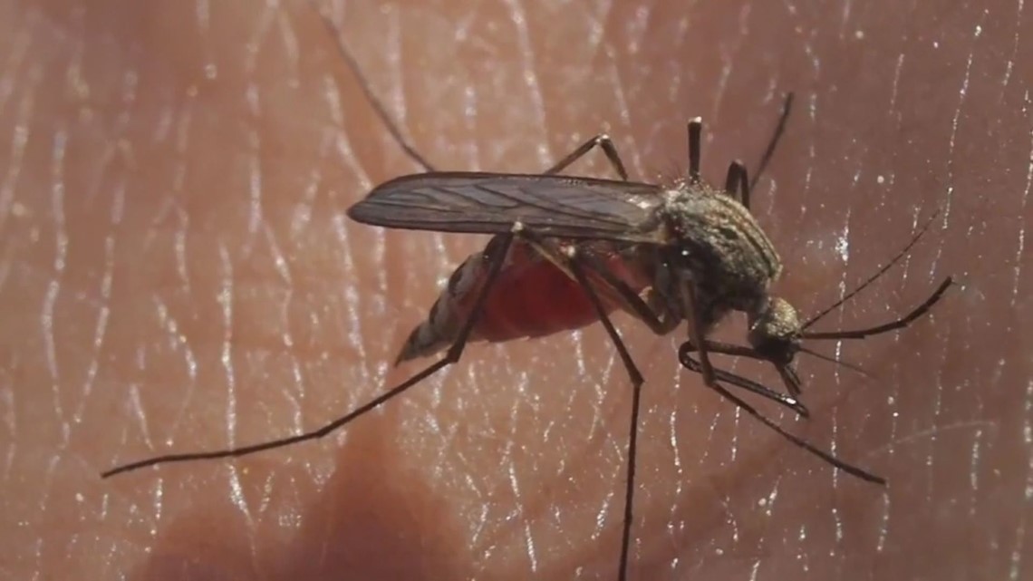 Two confirmed West Nile virus cases in Central Georgia | 13wmaz.com