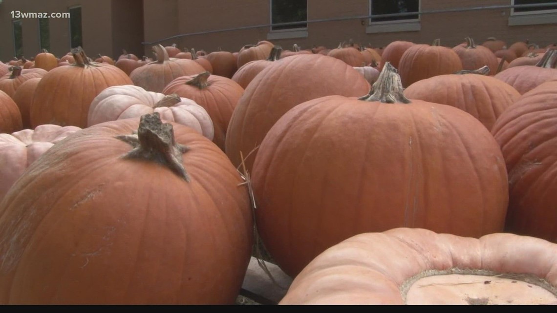 Halloween Hangouts: Where to go have some spooky fun in Macon - Vimarsana News