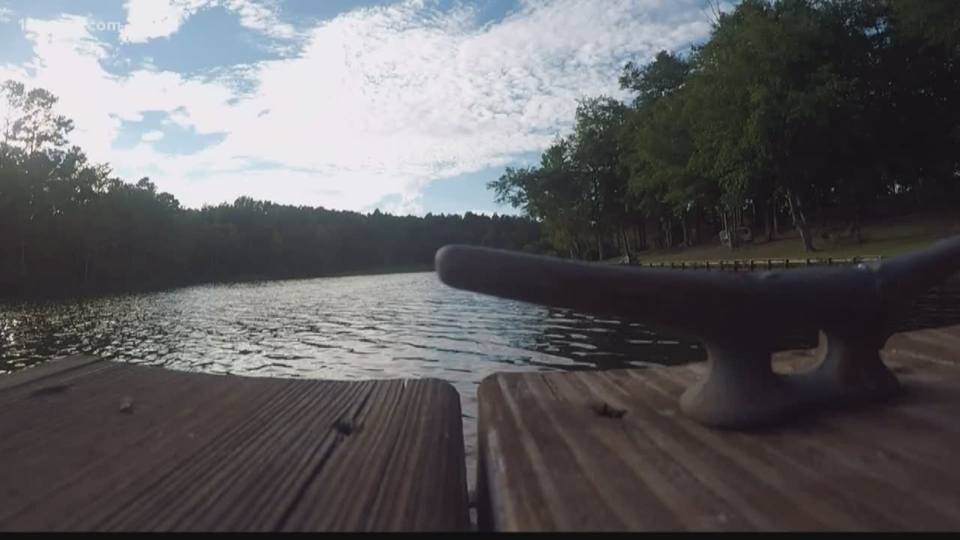 Georgia Power helping Lake Sinclair residents battle invasive weed