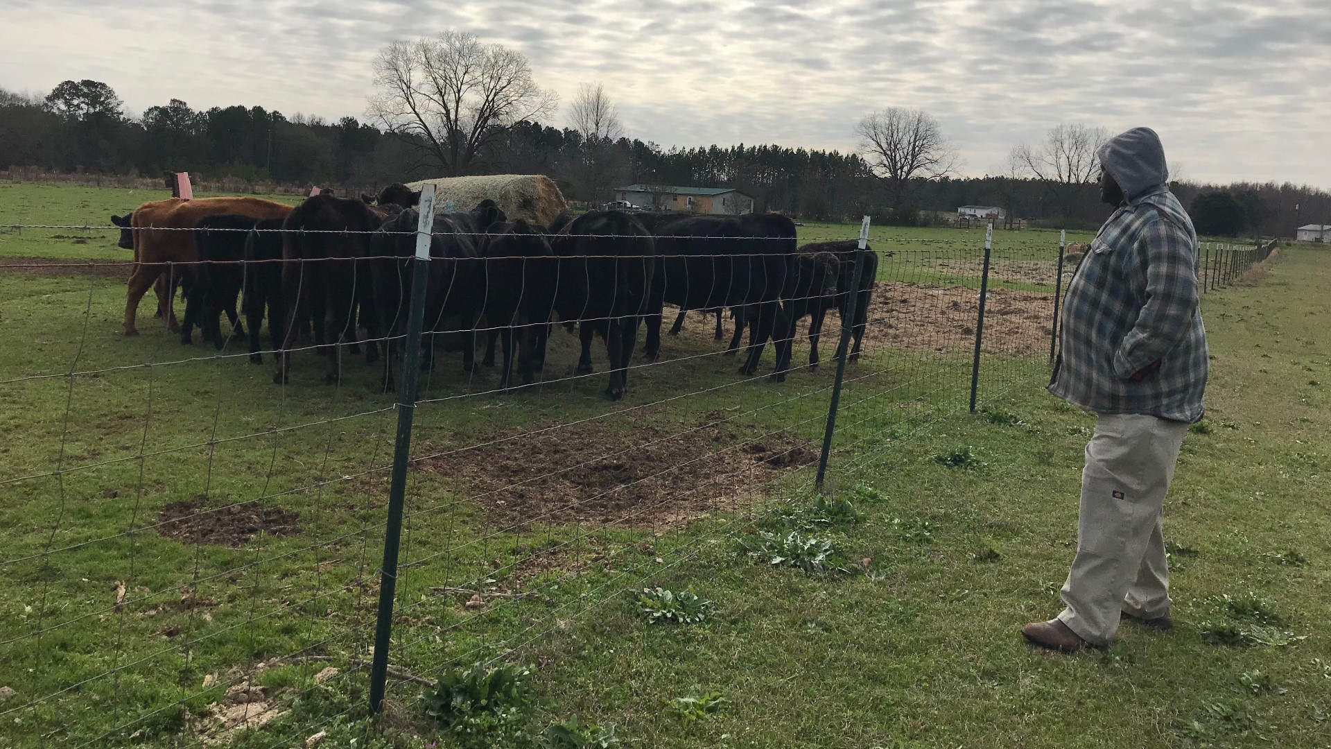 Central black farmers still face struggles today