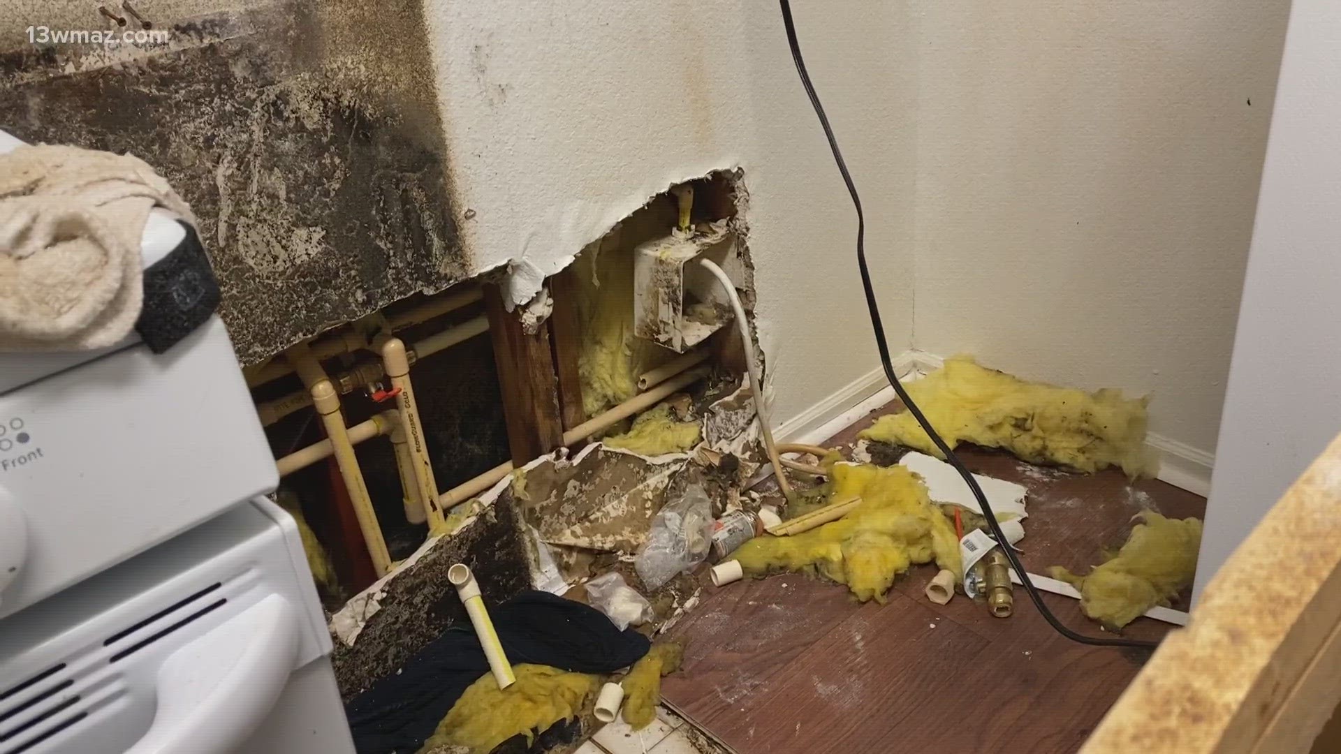 Some renters at a Macon apartment complex say they're dealing with leaky ceilings and roach infestations, and the people who are supposed to fix things won't.