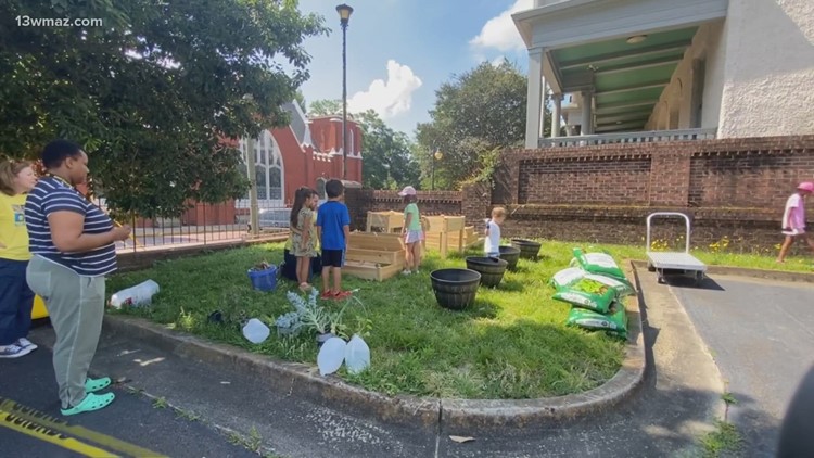 Washington Library kicks off summer with community garden
