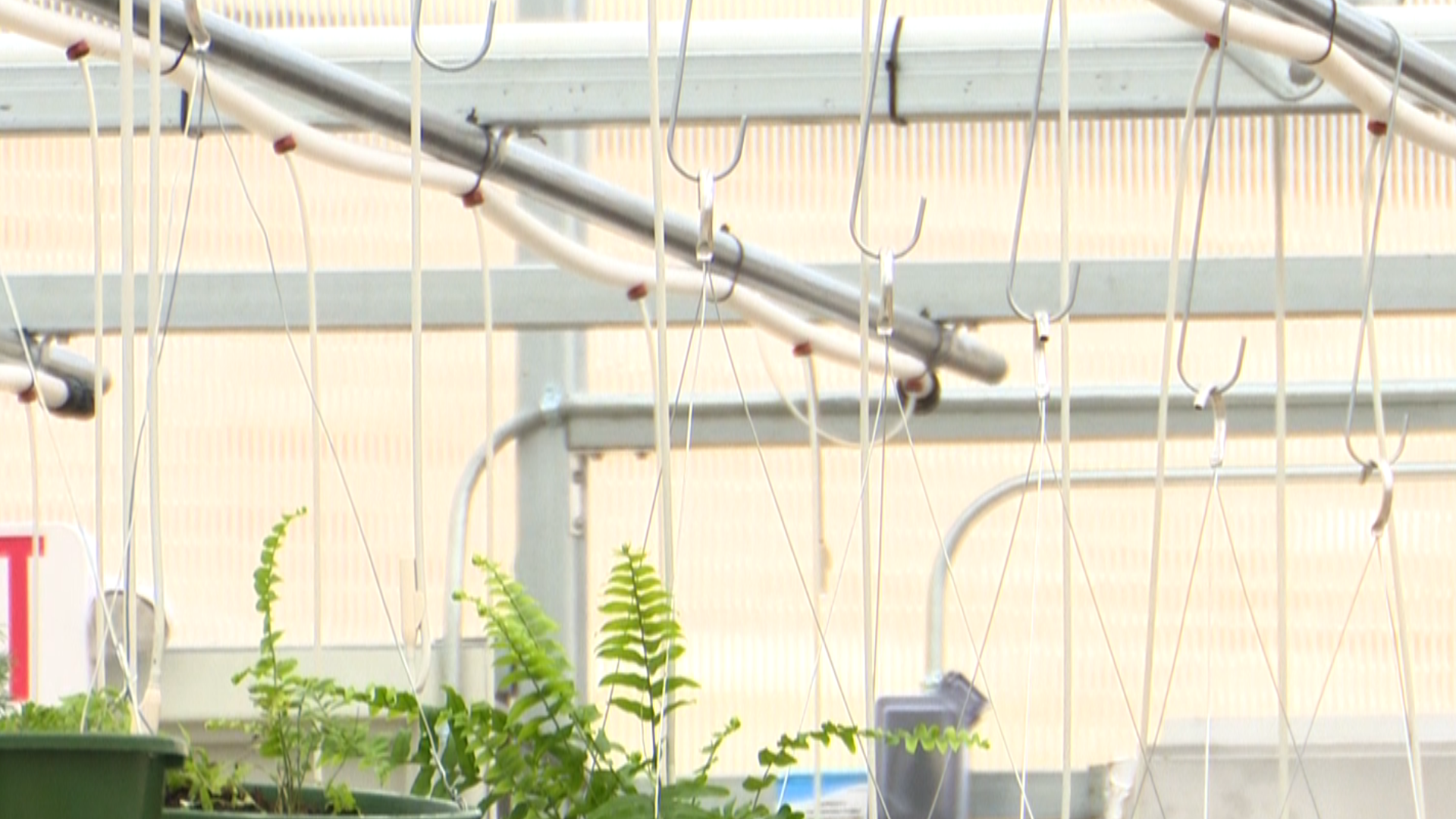 This greenhouse cost around $90,000 and the school's FFA chapter got a grant from the state to pay for it