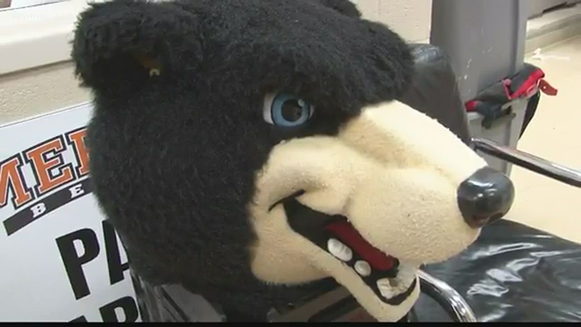 Just Curious: Who's behind the Mercer Bear mascot?