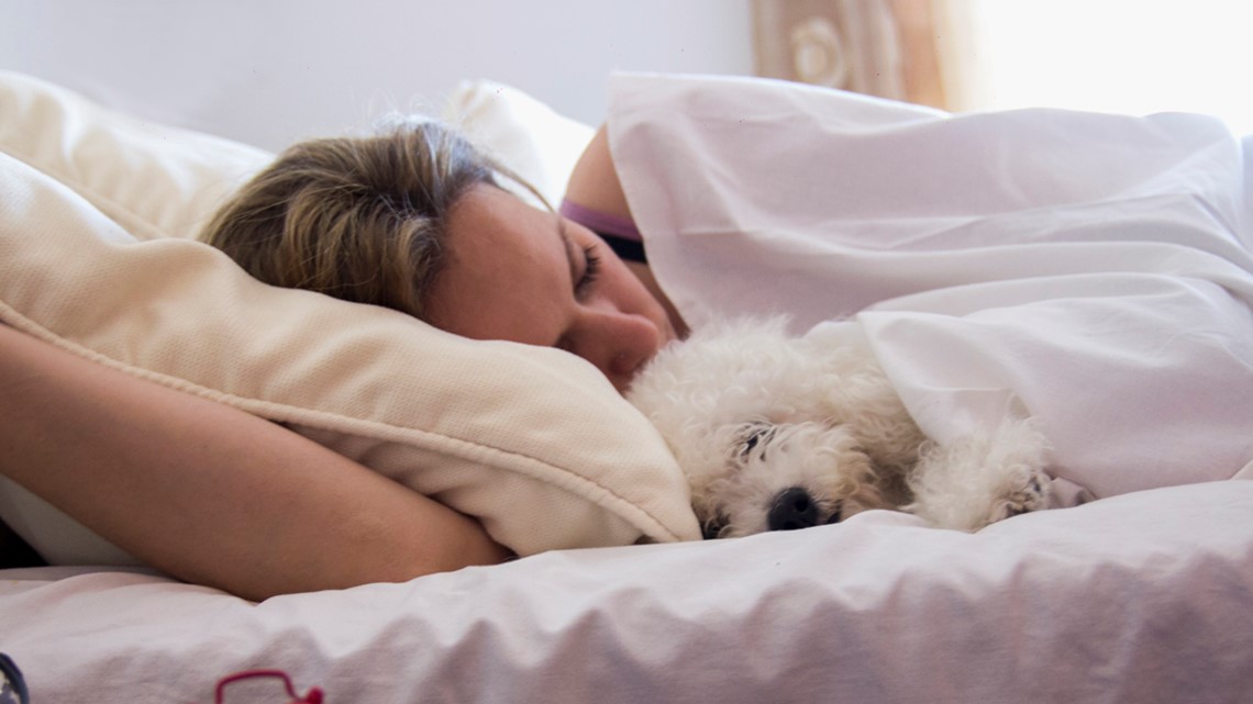 Women sleep hotsell with your dogs