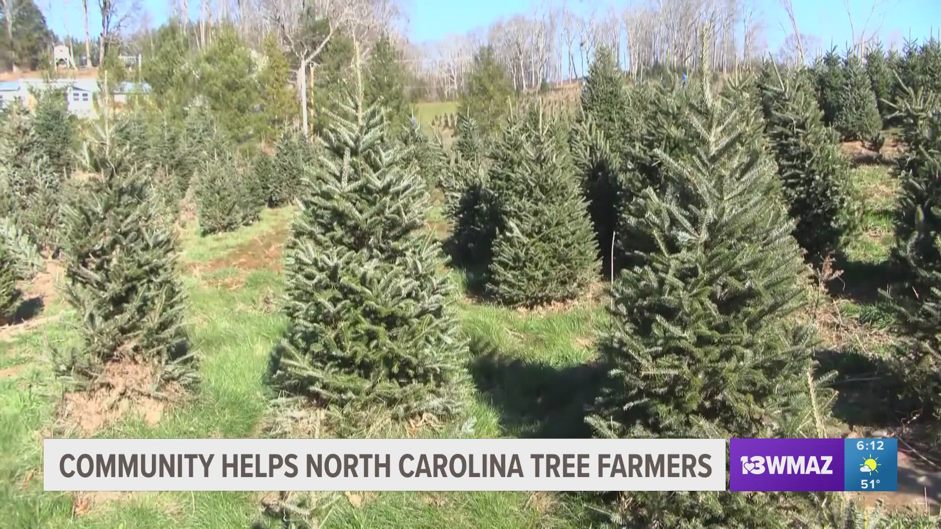 Hurricane Helene wiped out much of the crops and infrastructure in North Carolina when it hit.