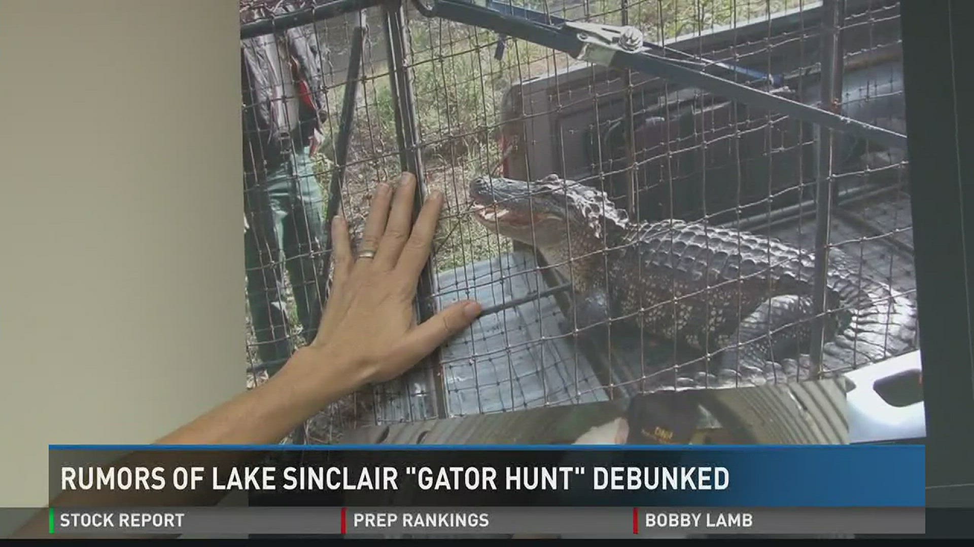 Rumors of Lake Sinclair 'Gator Hunt' debunked