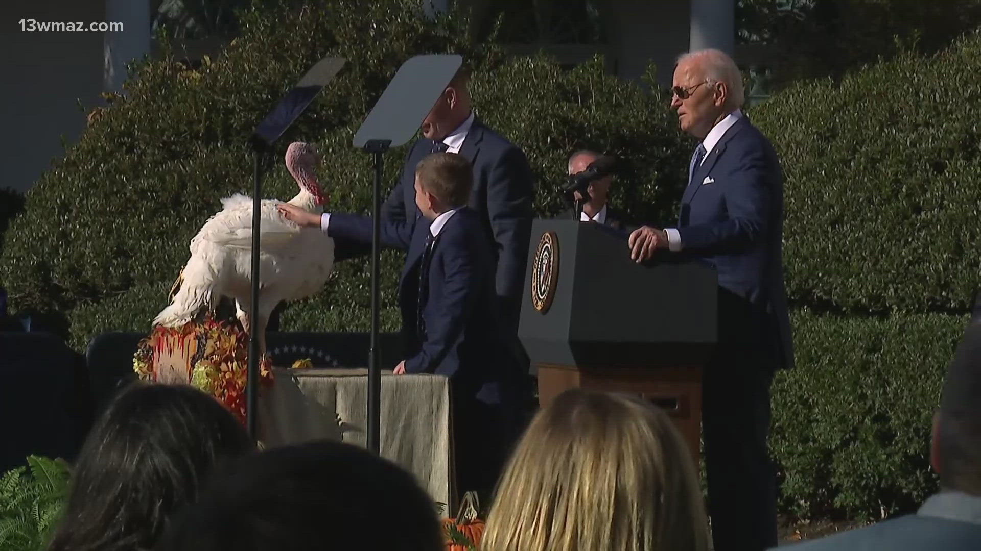 In one of America's most unique political traditions, here's a look at Joe Biden's last turkey pardon.