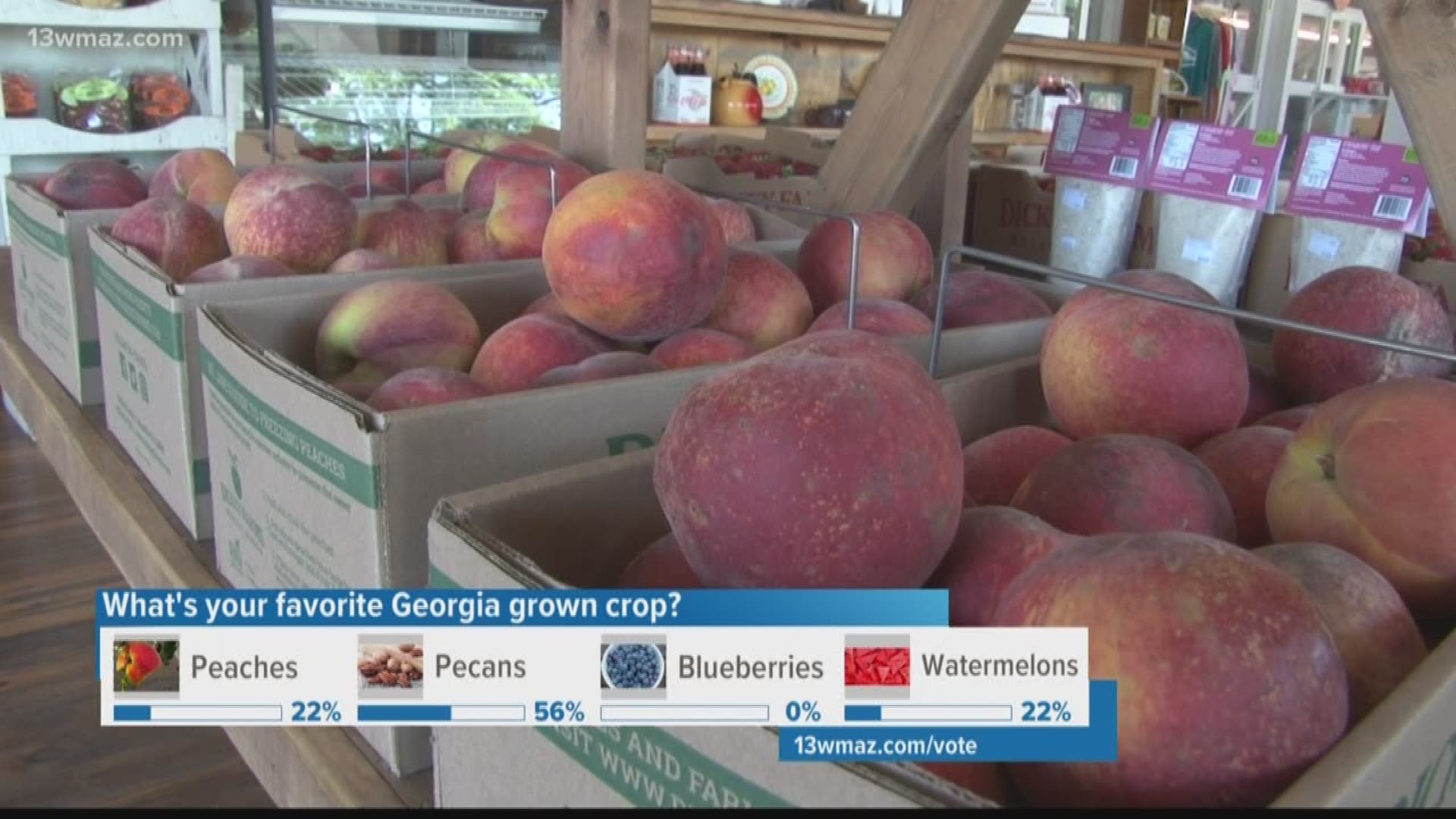 Peach season in Georgia is in full swing, and this year, the fruit is making a big comeback. Junior Journalist Ava Trussell takes you to Dickey Farms where this year's crop is just peachy.