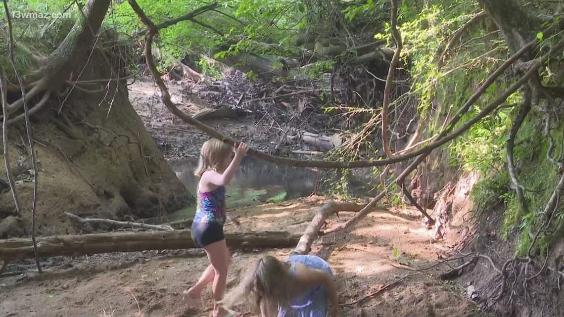 Macon nature camp allows kids to explore, engage with nature - Vimarsana News