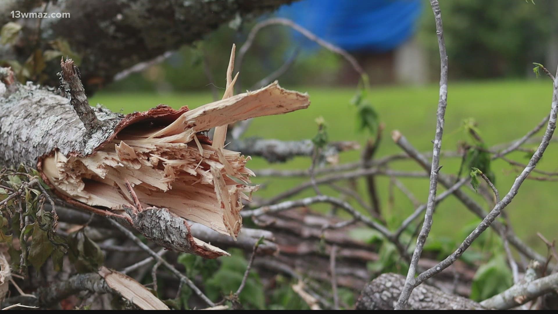 Brad Beasley got into tree cutting a few months ago. Since the storms, he's had his work cut out for him.
