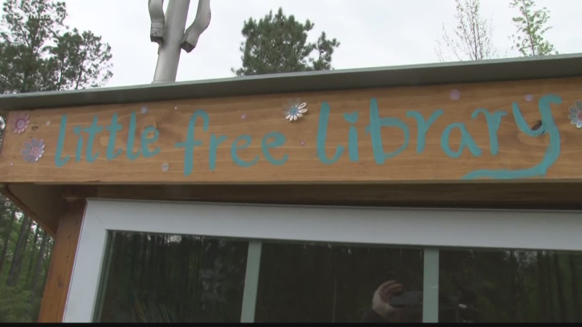 With schools and libraries closed due to COVID-19, Twiggs County Schools is challenging families to build their own 'Little Free Libraries.'