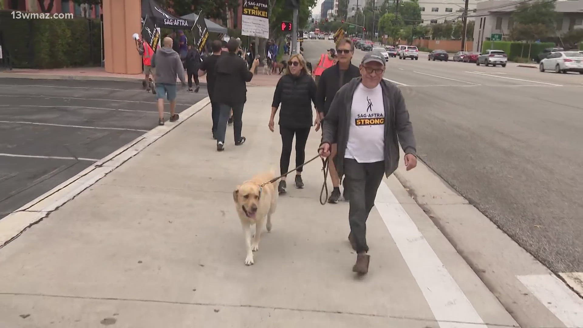 Actors bring out their furry friends to the Disney picket line for the "dog days of the strike."