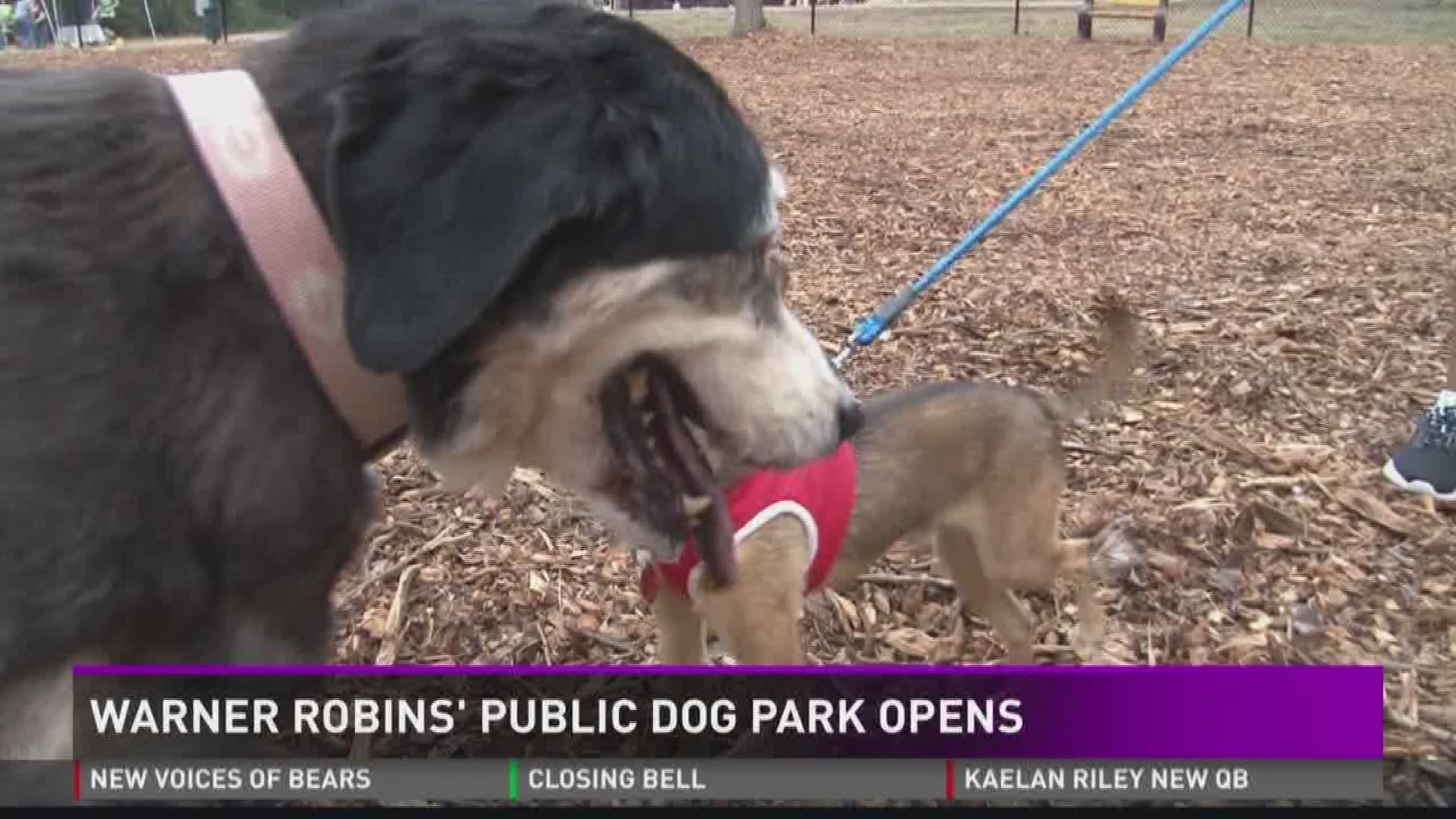 Warner Robins' public dog park opens