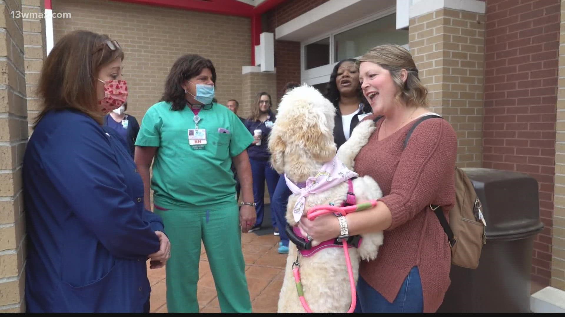 On Monday, nurses got to pet and play with pups from the Alliance of Therapy Dogs beginning at 10 a.m.