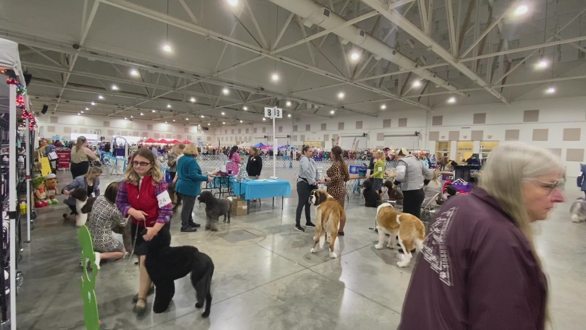 The Winer dog show was hosted in Perry on Saturday.